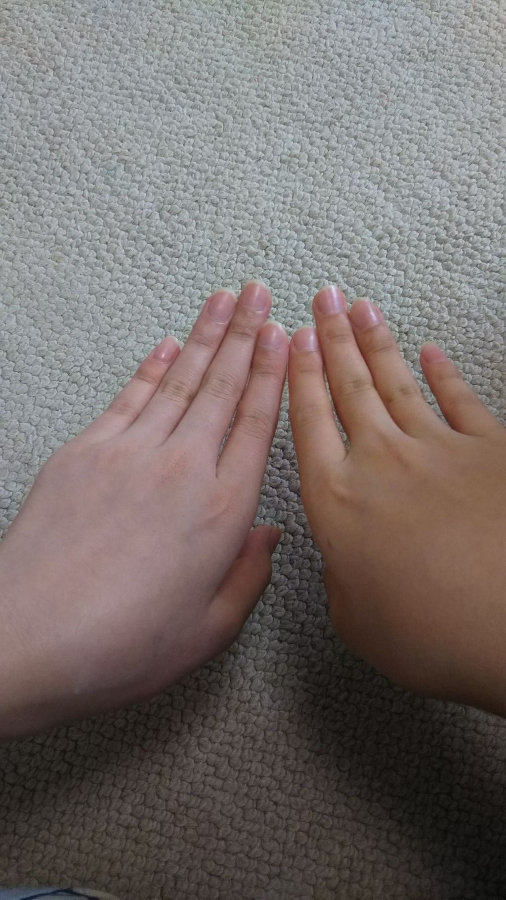 ワンデーブライトナー/セラ/ボディローションを使ったクチコミ(2枚目)