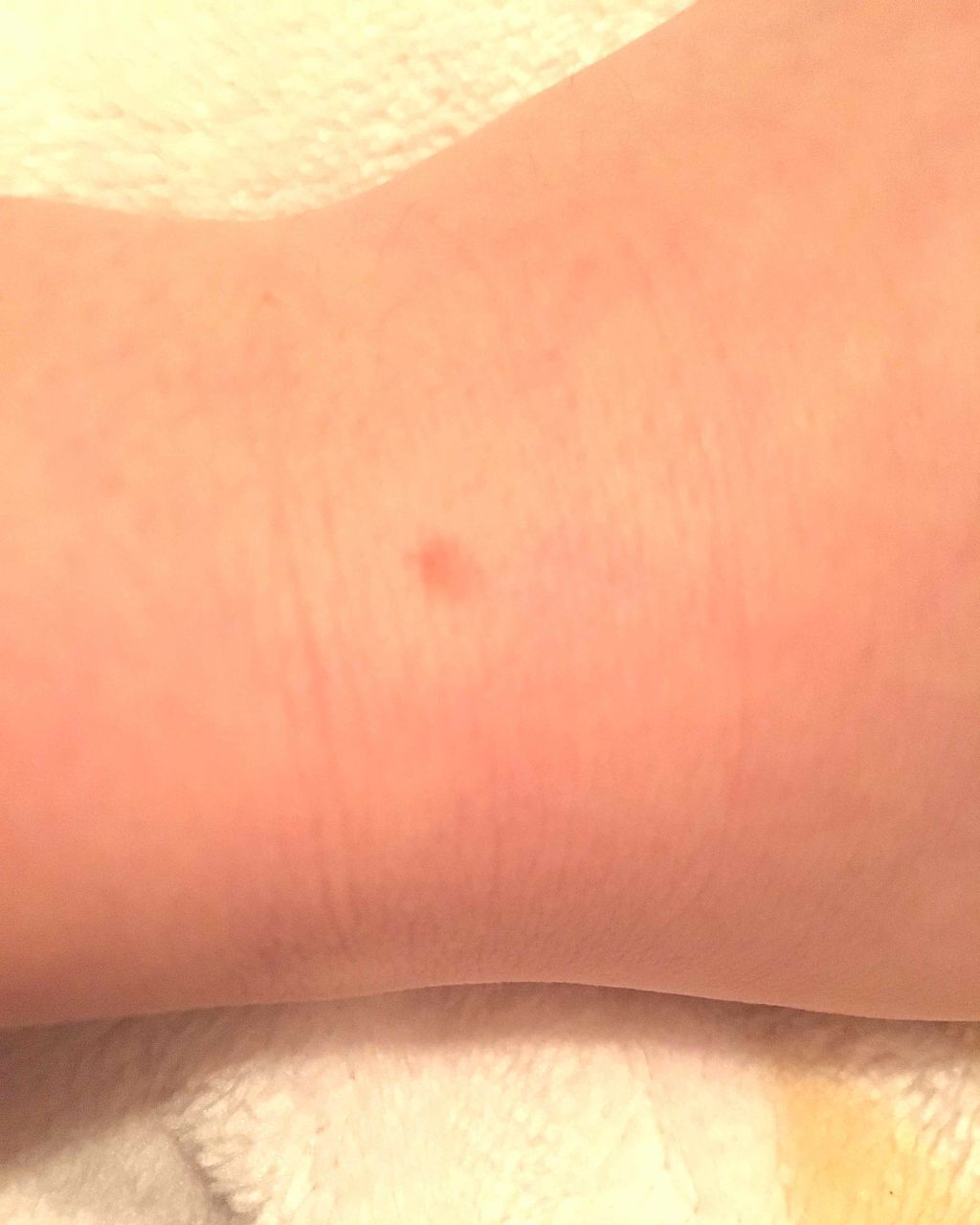 UV コンシーラー/FASIO/スティックコンシーラーを使ったクチコミ(2枚目)