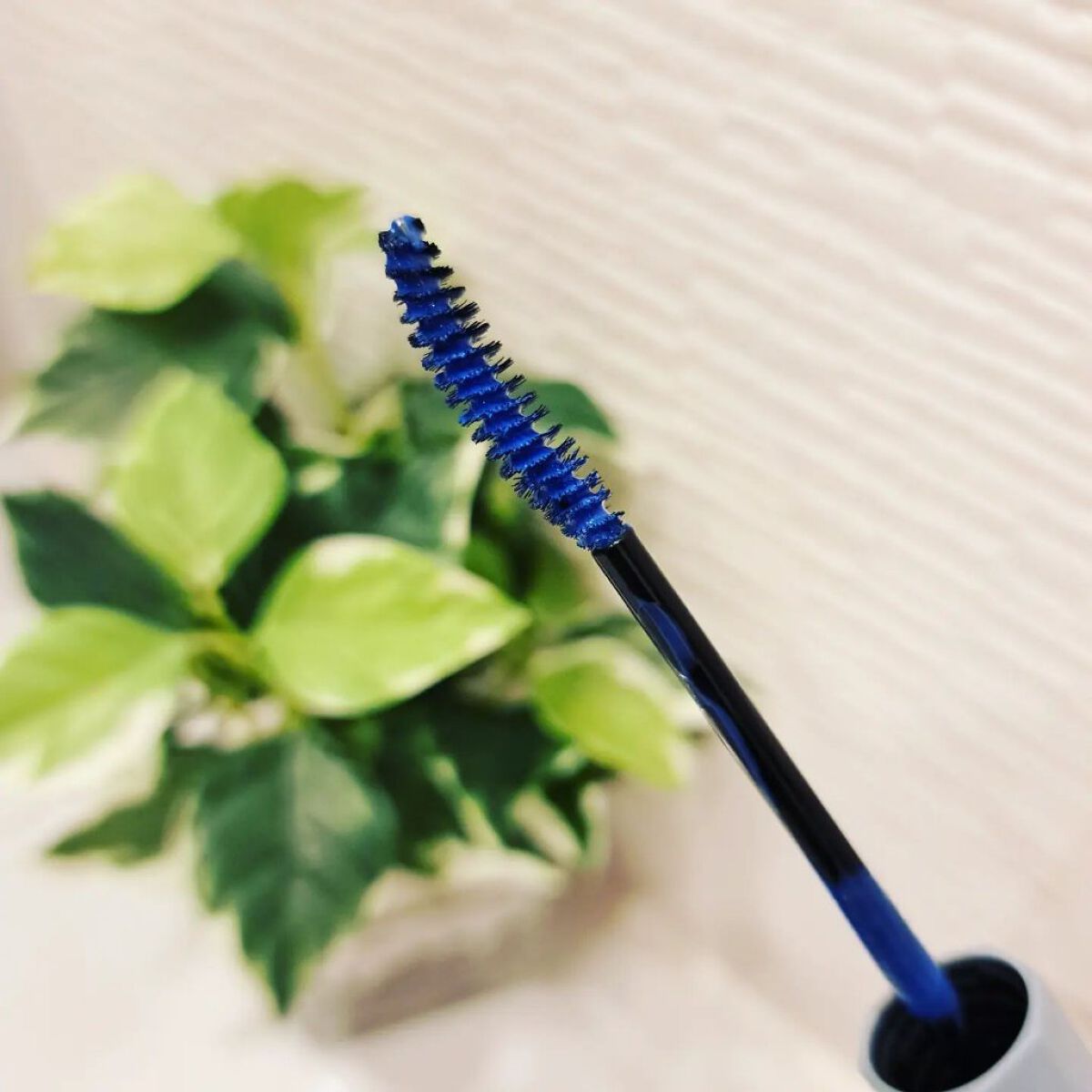 MOTELASH(ウズ モテラッシュ) CLEAR BLUE/UZU BY FLOWFUSHI/マスカラ下地を使ったクチコミ（2枚目）