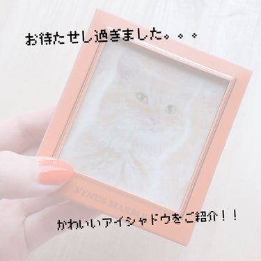 Venus Marble アイシャドウキャットシリーズ 茶トラ猫/Venus Marble/アイシャドウパレットを使ったクチコミ（1枚目）