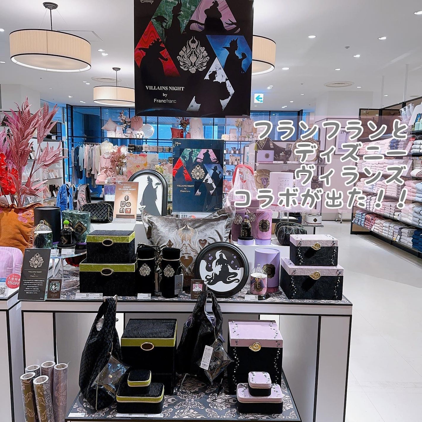 ディズニー VILLAINS NIGHT / クイーンオブハート/フランフラン/化粧ポーチを使ったクチコミ(2枚目)