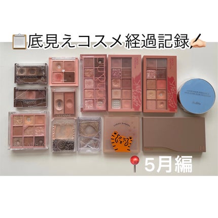 プロ アイ パレット/CLIO/アイシャドウパレットを使ったクチコミ(1枚目)