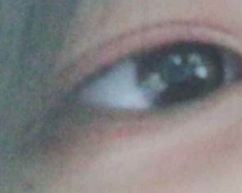 UR GLAM BLOOMING EYE COLOR PALETTE/U R GLAM/アイシャドウパレットを使ったクチコミ(1枚目)