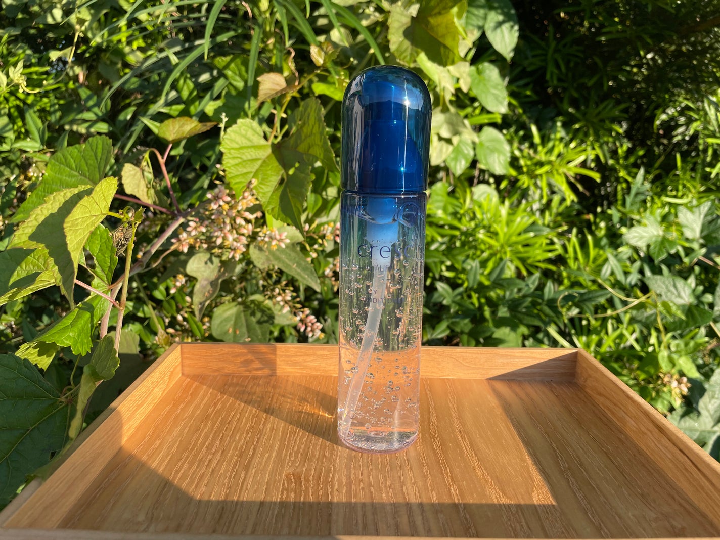 ジェリー コンディショナー/cresc. by ASTALIFT/化粧水を使ったクチコミ(1枚目)