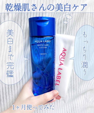 極潤 ヒアルロン液(旧) 170mL/肌ラボ/化粧水を使ったクチコミ（1枚目）