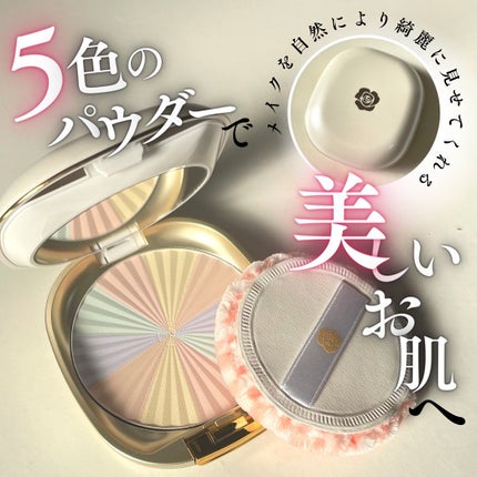 サンブロックルーセントパウダーex./ステファニー/プレストパウダーを使ったクチコミ(1枚目)