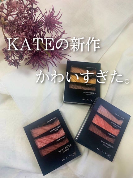 パーツリサイズシャドウ/KATE/アイシャドウパレットを使ったクチコミ(1枚目)