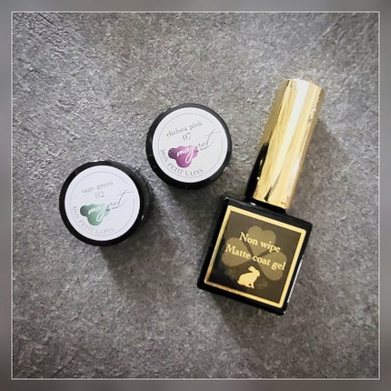 マグネティックアートジェル グレーシリーズ/mon petit lapin/ジェルネイルを使ったクチコミ(5枚目)