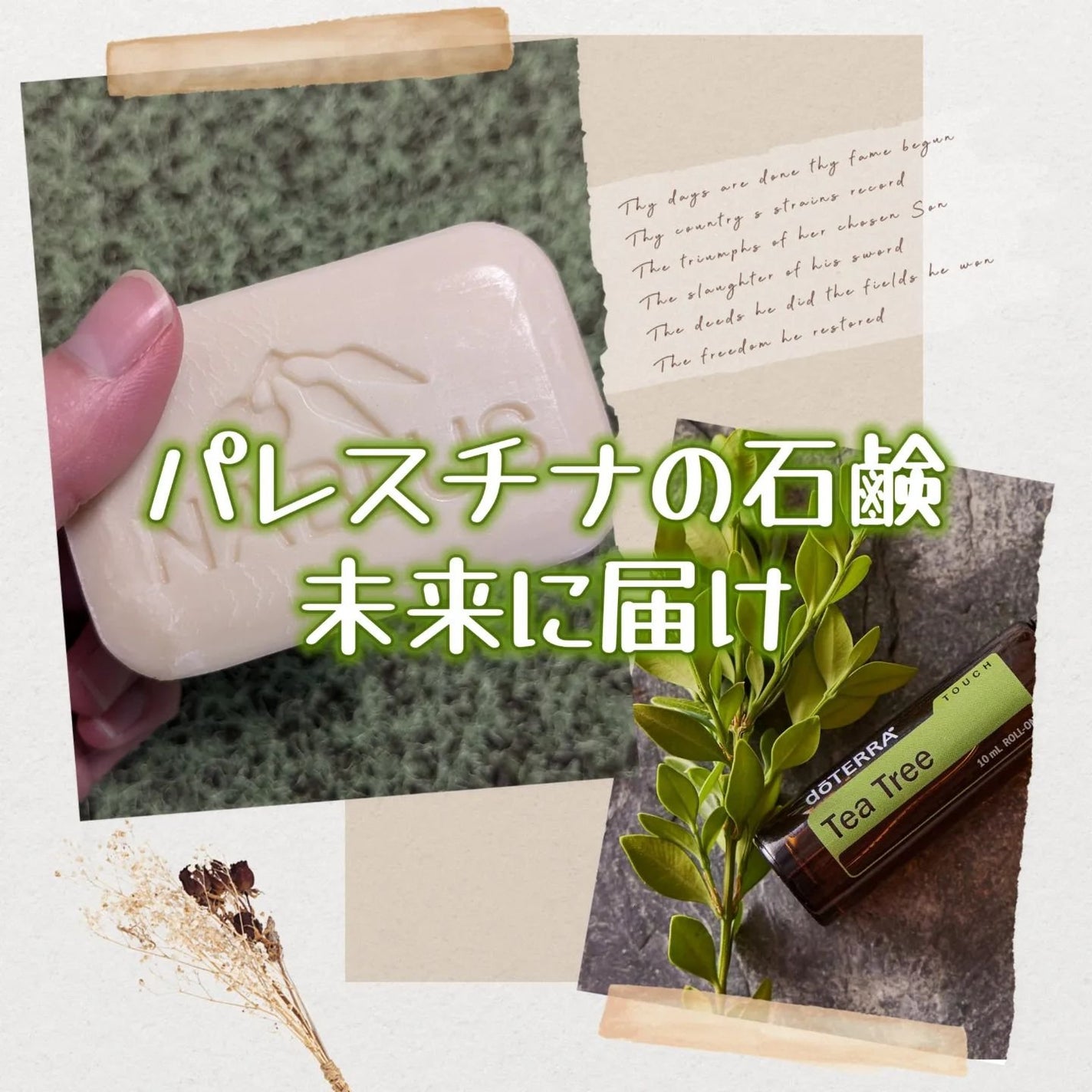 オーガニックオリーブオイルソープ ティーツリー/ナーブルスソープ/洗顔石鹸を使ったクチコミ(1枚目)