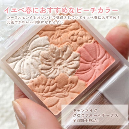 グロウフルールチークス(ブレンドタイプ)/キャンメイク/パウダーチークを使ったクチコミ(2枚目)