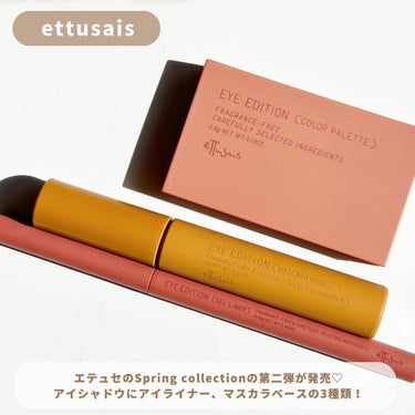 アイエディション(カラーパレット)/ettusais/アイシャドウパレットを使ったクチコミ（2枚目）