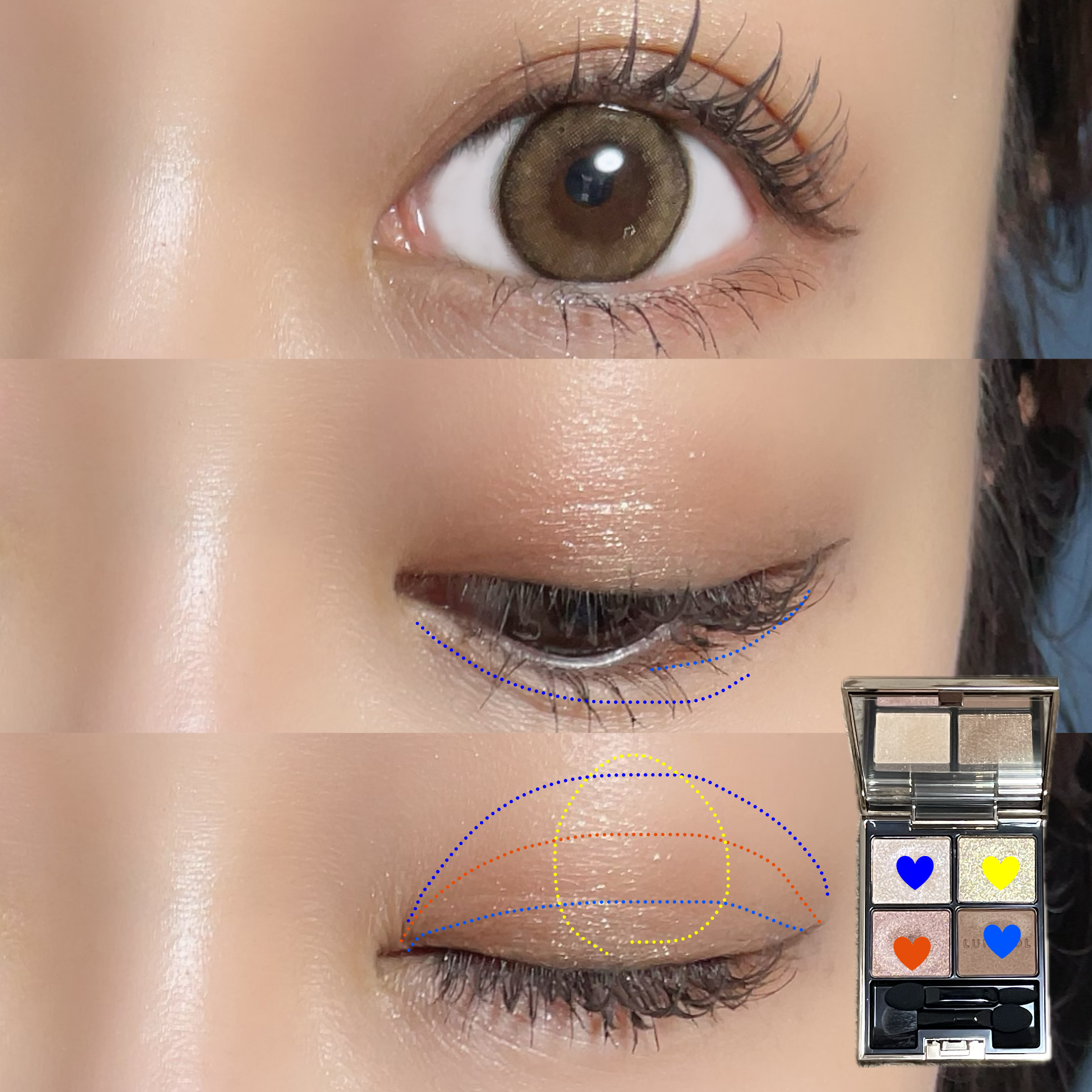 アイカラーレーション/LUNASOL/アイシャドウパレットを使ったクチコミ（2枚目）