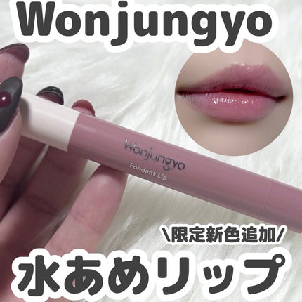 ウォンジョンヨ フォンダンリップ/Wonjungyo/口紅を使ったクチコミ(1枚目)