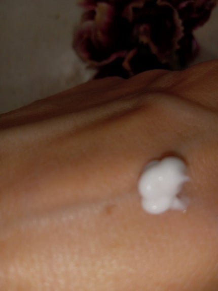 アイクリームプライマー/キャンメイク/アイシャドウベースを使ったクチコミ(2枚目)