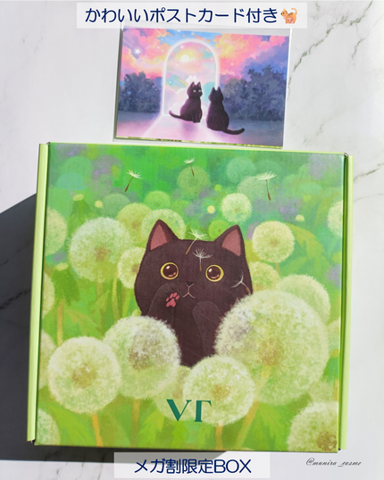 リードルショット300/VT/美容液を使ったクチコミ(6枚目)