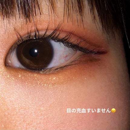 大英博物館 エジプトシリーズ アイシャドウパレット/ZEESEA/アイシャドウパレットを使ったクチコミ(2枚目)