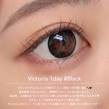 Victoria(ヴィクトリア）1day BLACK/Victoria/ワンデー（１DAY）カラコンの画像