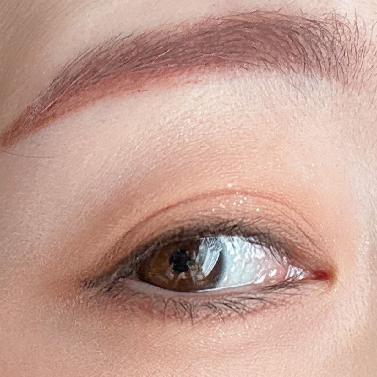 シャドウパレット/dasique/アイシャドウパレットを使ったクチコミ(6枚目)