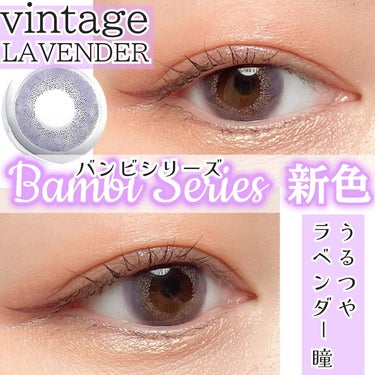 Angelcolor Bambi Series Vintage 1day/AngelColor/ワンデー（１DAY）カラコンを使ったクチコミ（1枚目）