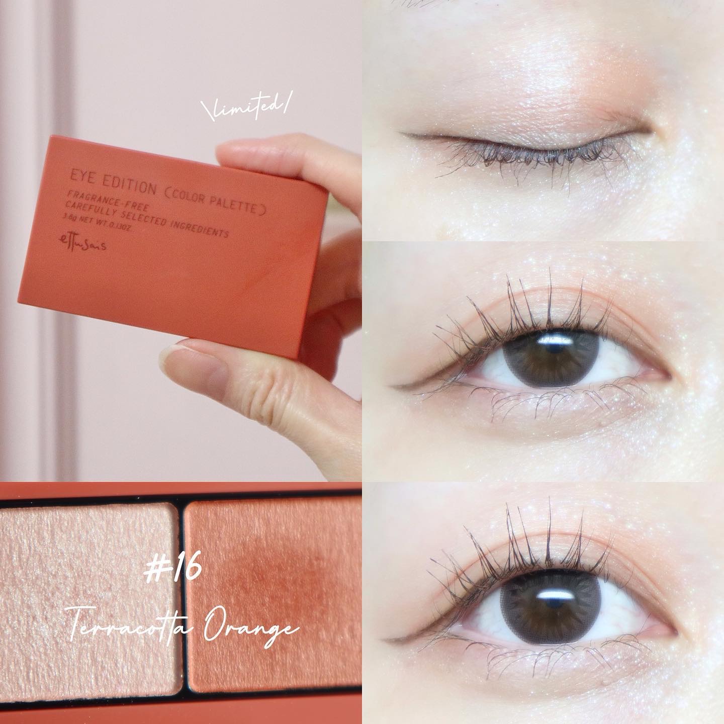エテュセ アイエディション(カラーパレット) 16 テラコッタオレンジ(限定)/ettusais/アイシャドウパレットを使ったクチコミ（1枚目）