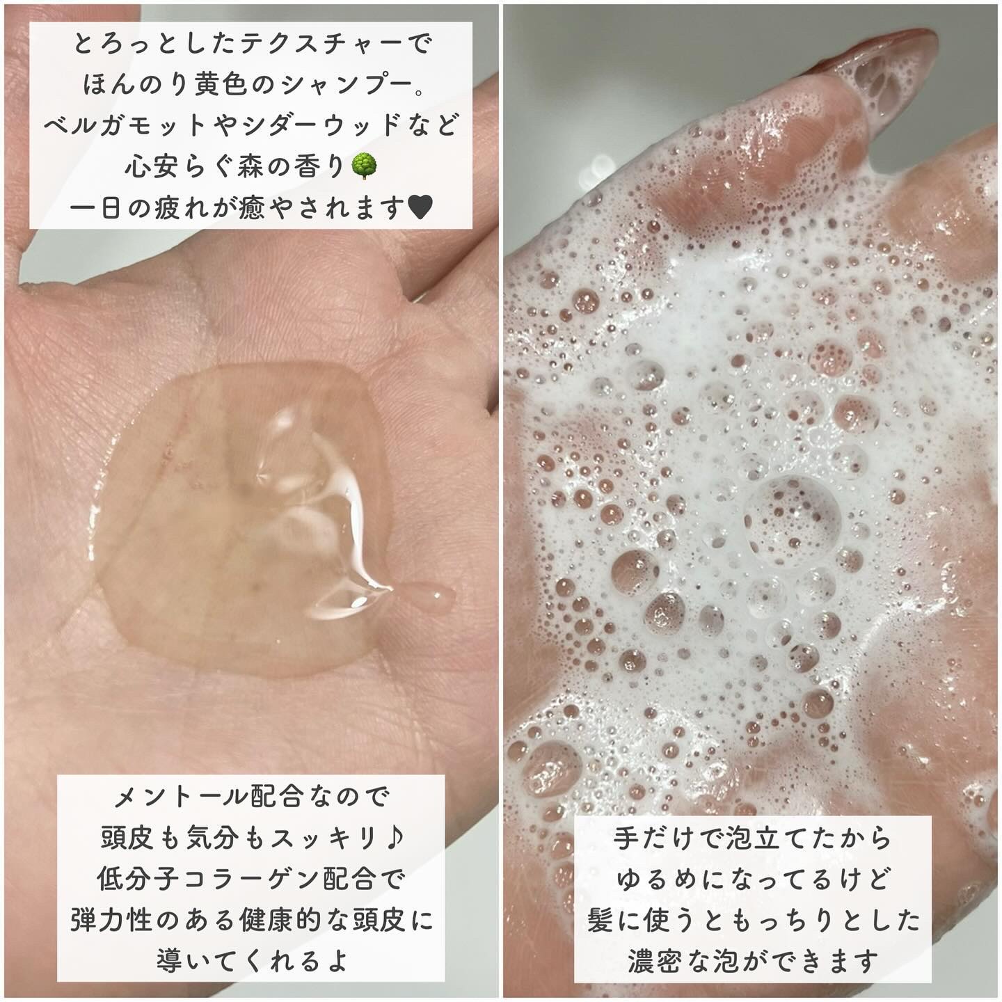 ナイトコラーゲンシャンプーミッドナイトフォレスト/treecell/市販シャンプーを使ったクチコミ（3枚目）