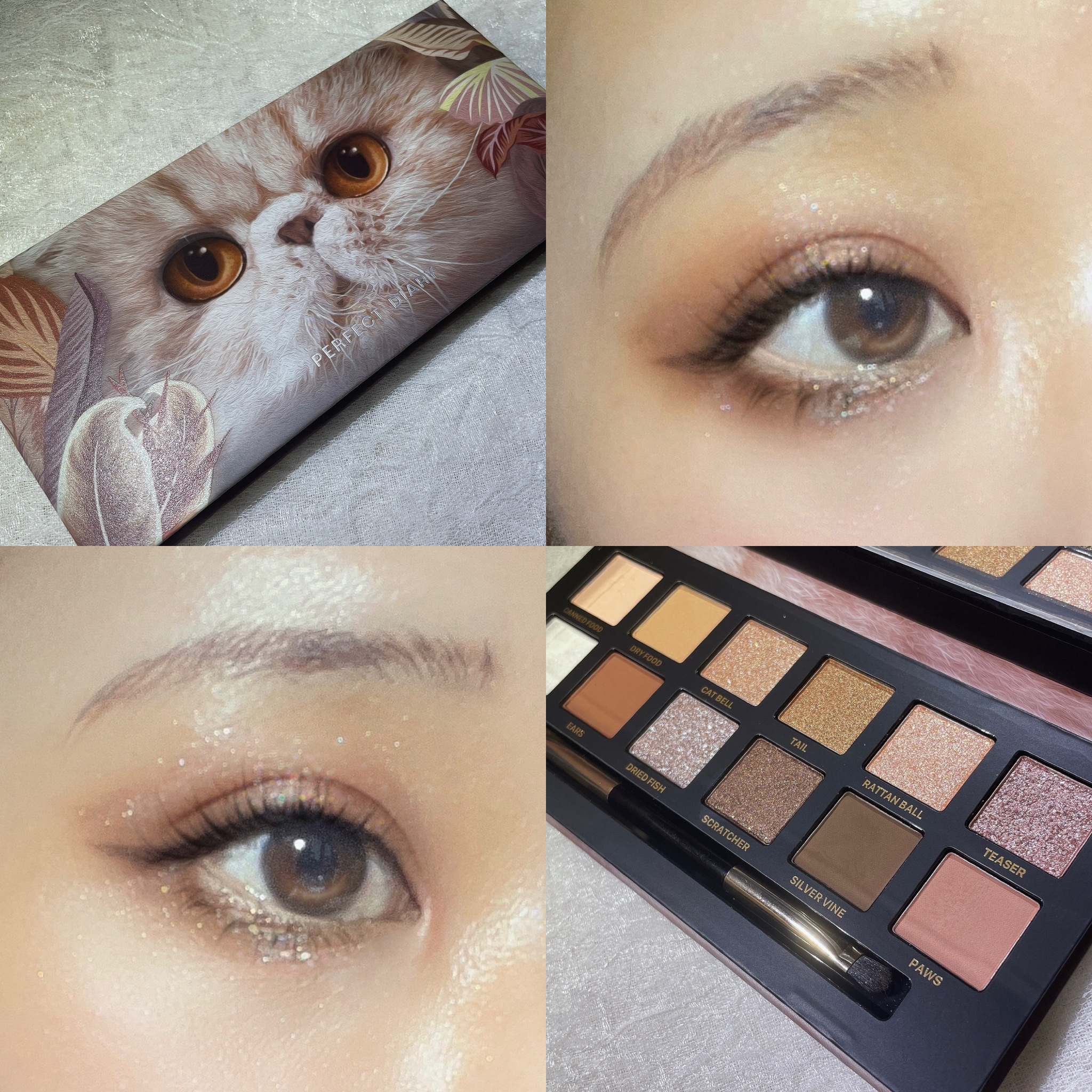エクスプローラ12色 動物アイシャドウパレット/PERFECT DIARY/アイシャドウパレットを使ったクチコミ（1枚目）