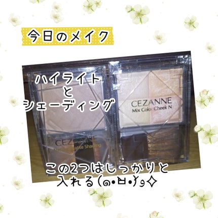ナチュラルマットシェーディング/CEZANNE/シェーディングを使ったクチコミ(1枚目)