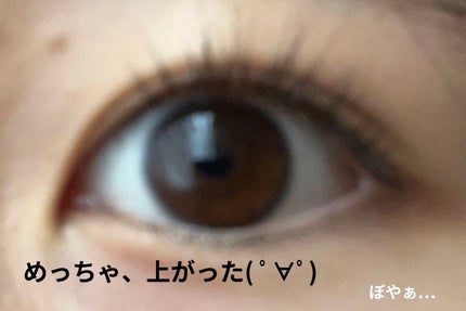 携帯用アイラッシュカーラー/無印良品/ビューラーを使ったクチコミ(5枚目)