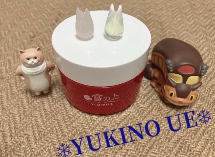 薬用美白ジェル 雪の上/雪の上/オールインワン化粧品を使ったクチコミ(2枚目)