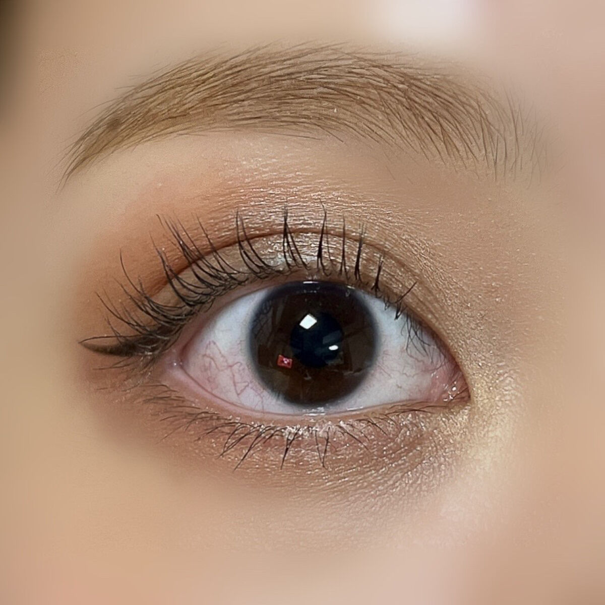 アイラッシュカーラー /SHISEIDO/ビューラーを使ったクチコミ（2枚目）