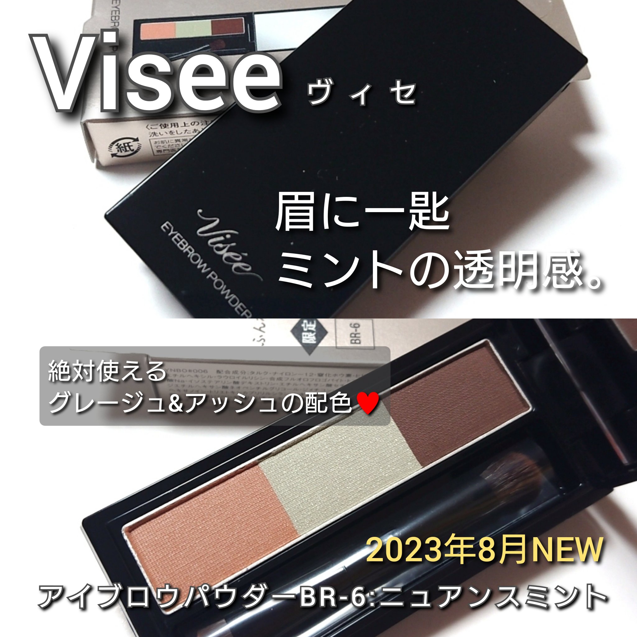 ヴィセ リシェ アイブロウパウダー/Visée/パウダーアイブロウを使ったクチコミ（1枚目）