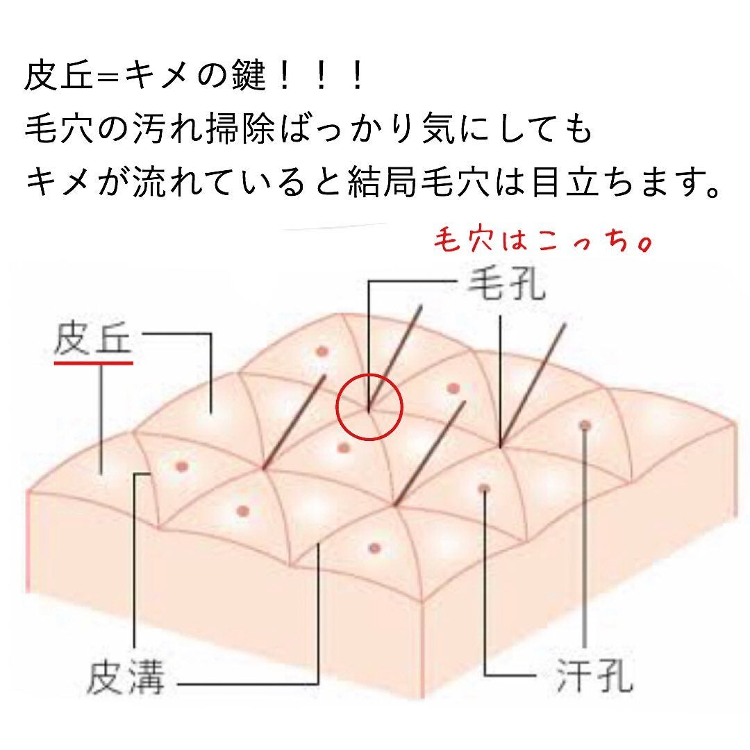 おゆみ|ニキビ・ニキビ跡ケア on LIPS 「毛穴は汚れているから目立つという誤解🙅♀️🙅♀️毛..」(4枚目)