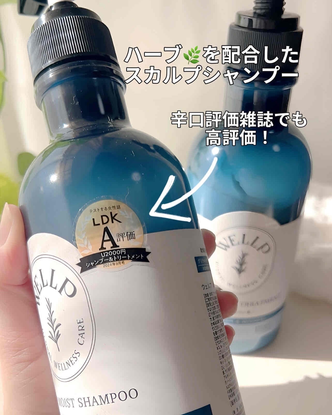 薬用スカルプケアシャンプー/トリートメント モイスト/WELLP/市販シャンプーを使ったクチコミ(3枚目)