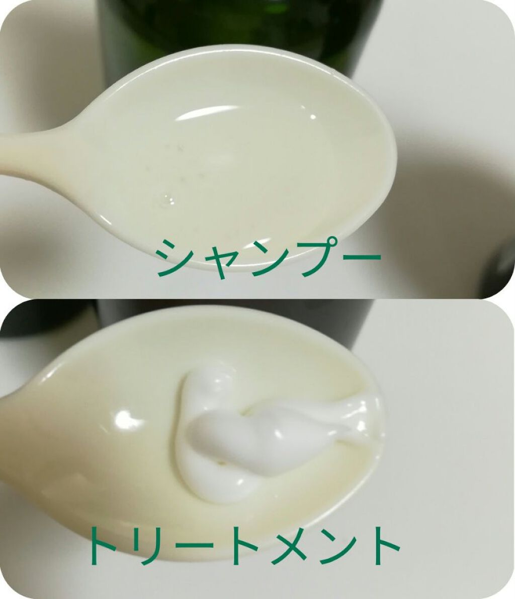 オーガニックシャンプー/コンディショナー/ハーバルリーフ/市販シャンプーを使ったクチコミ(2枚目)