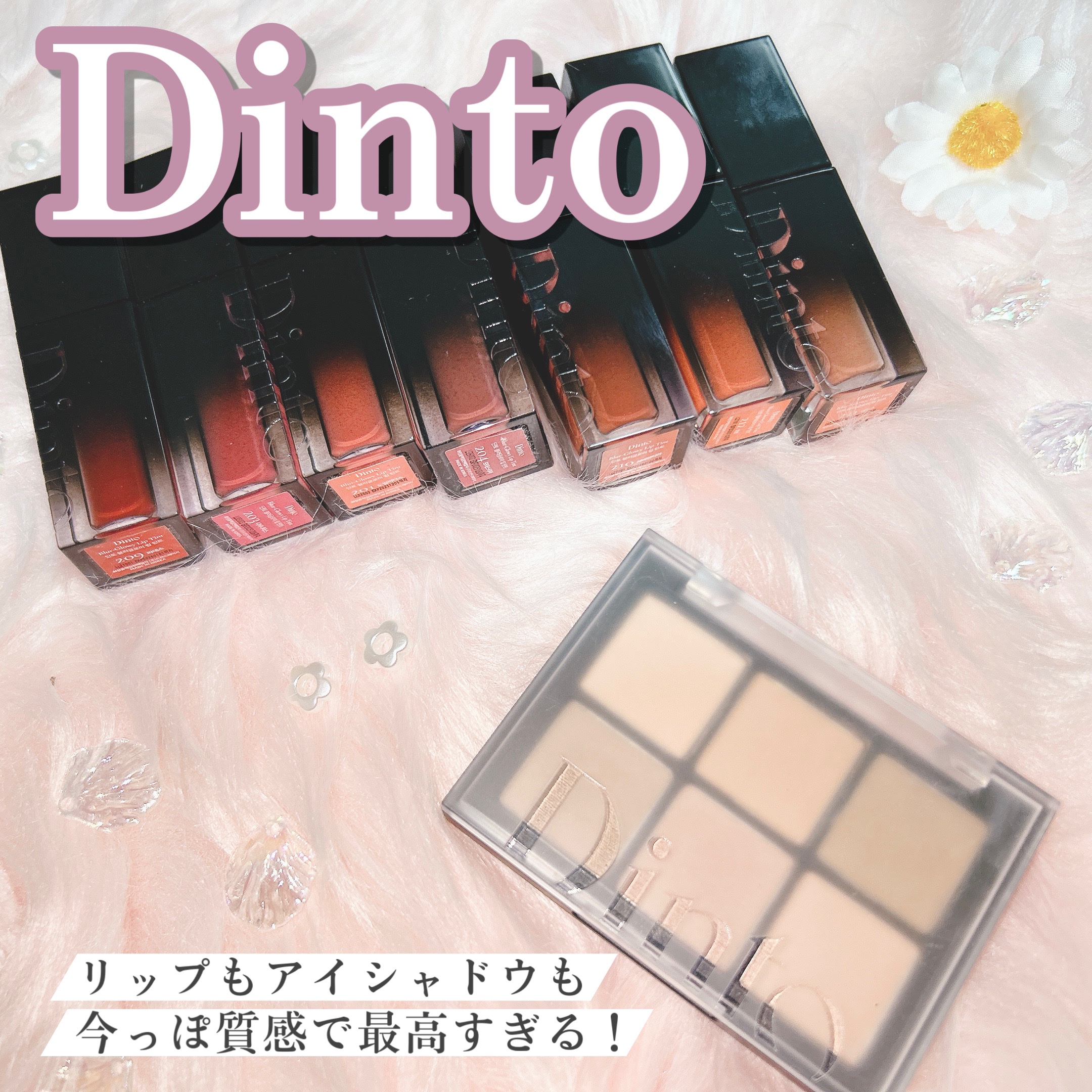 ブラーフィニシュシャドウパレット/Dinto/アイシャドウパレットを使ったクチコミ（2枚目）