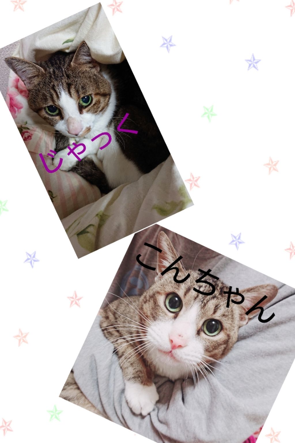 ネイルリムーバー グレープの香り/DAISO/除光液を使ったクチコミ（3枚目）