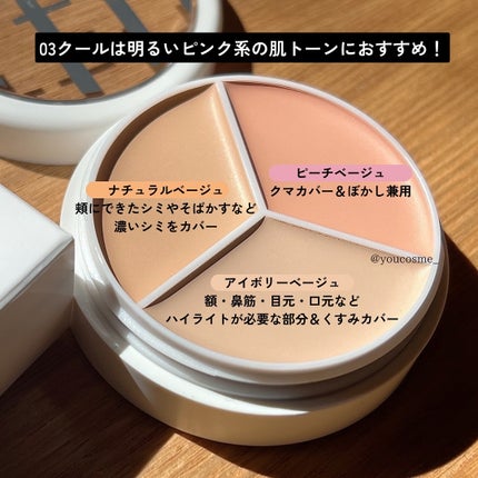 カバーアッププロコンシーラー/TFIT/パレットコンシーラーを使ったクチコミ(3枚目)