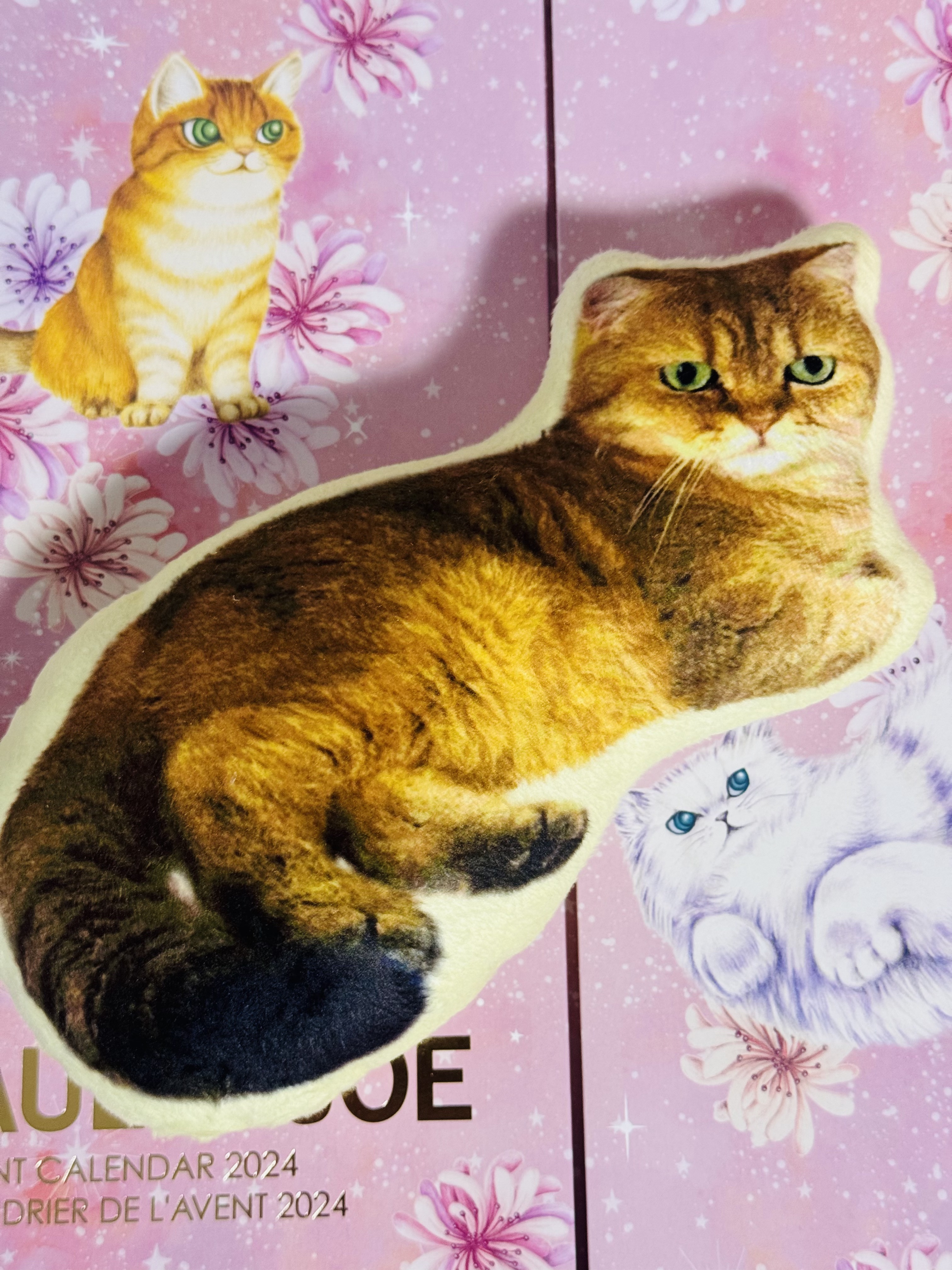 アドベント カレンダー 2024/PAUL & JOE BEAUTE/その他キットセットを使ったクチコミ（3枚目）