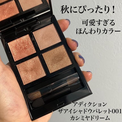 アディクション ザ アイシャドウ パレット/ADDICTION/アイシャドウパレットを使ったクチコミ(1枚目)