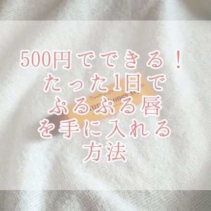 ハニーフルリップ HM/カントリー&ストリーム/リップ美容液を使ったクチコミ(1枚目)