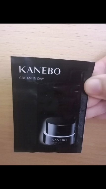 クリーム イン デイ/KANEBO/フェイスクリームを使ったクチコミ(4枚目)