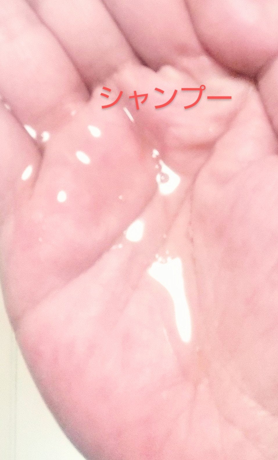 オイルインシャンプー/オイルインコンディショナー (グロス&リペア)/ディアボーテ/市販シャンプーを使ったクチコミ(2枚目)