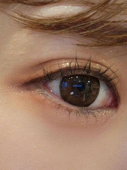 3CE マルチアイカラーパレット/3CE/アイシャドウパレットを使ったクチコミ(2枚目)