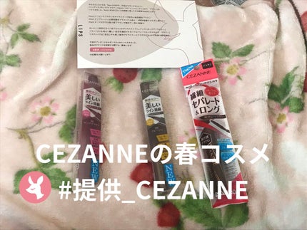セパレートロングマスカラ/CEZANNE/マスカラを使ったクチコミ(1枚目)