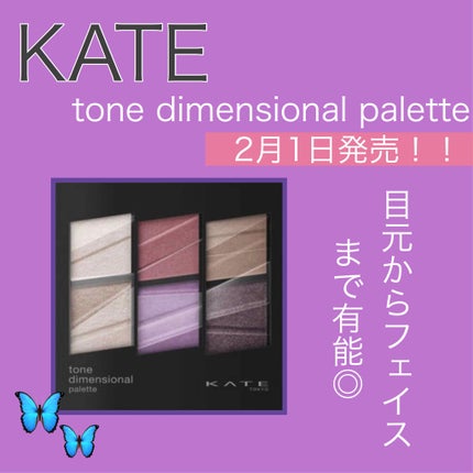 トーンディメンショナルパレット/KATE/メイクアップキットを使ったクチコミ(1枚目)