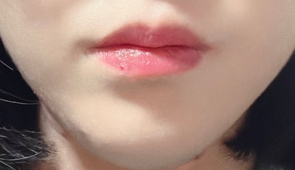 を使ったクチコミ(1枚目)