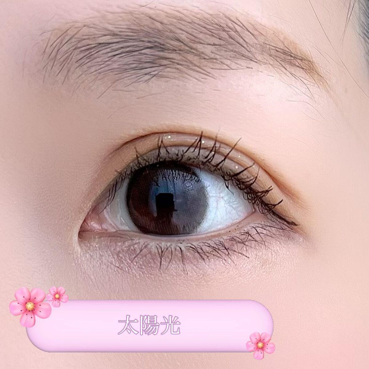 Lumie U 1day アーモンドブラウン/Lumie U/ワンデー（１DAY）カラコンを使ったクチコミ（3枚目）