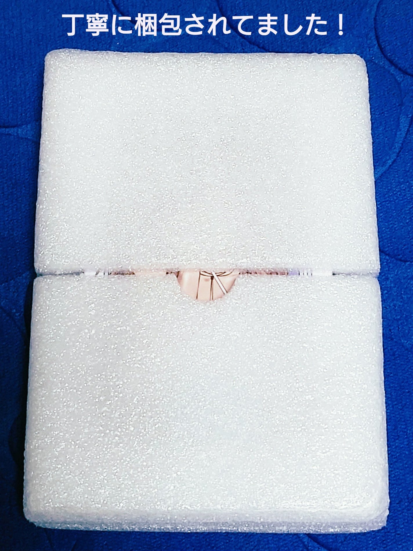 Spontaneous Sagittarius アイパレット/SHEGLAM/アイシャドウパレットを使ったクチコミ(6枚目)