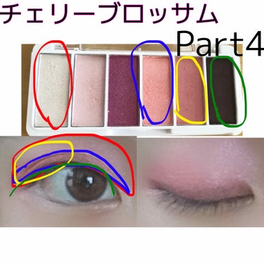 AC カラーアイパレット/AC MAKEUP/パウダーアイシャドウを使ったクチコミ（2枚目）