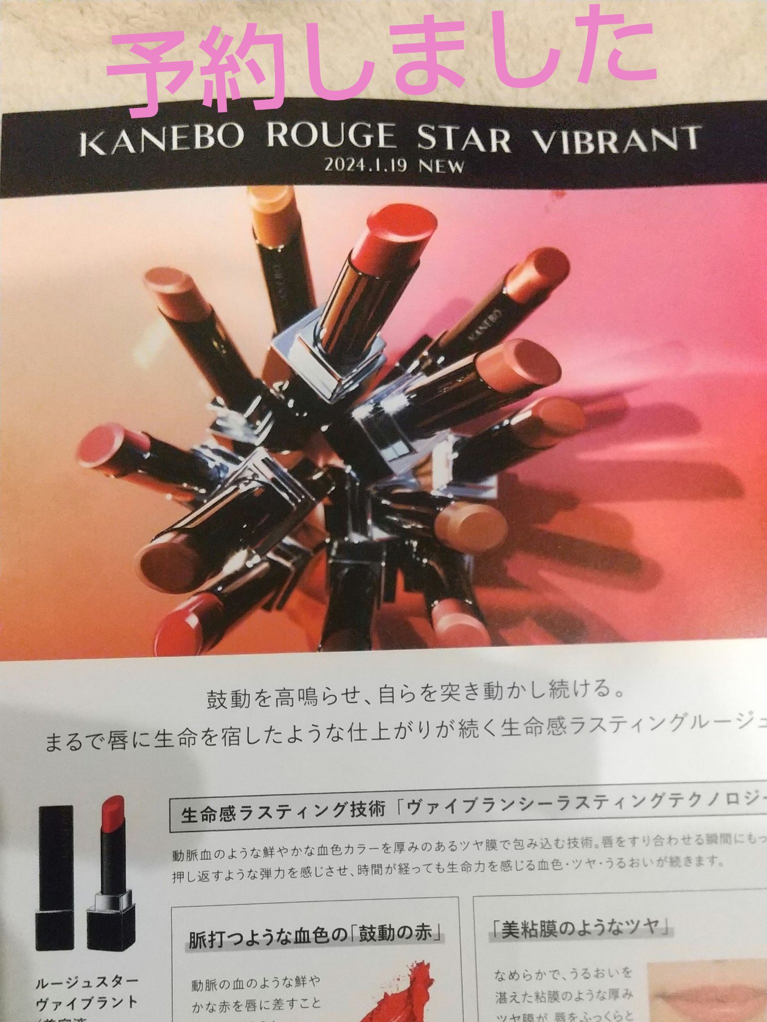 ルージュスターヴァイブラント/KANEBO/口紅を使ったクチコミ（1枚目）